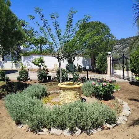 Lavender Corinth