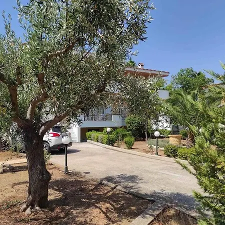 Lavender Corinth Kato Almirí