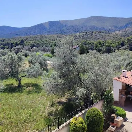 Lavender Corinth *