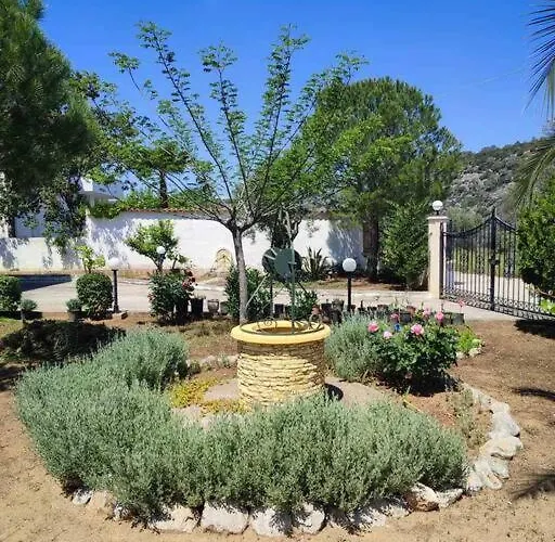Lavender Corinth