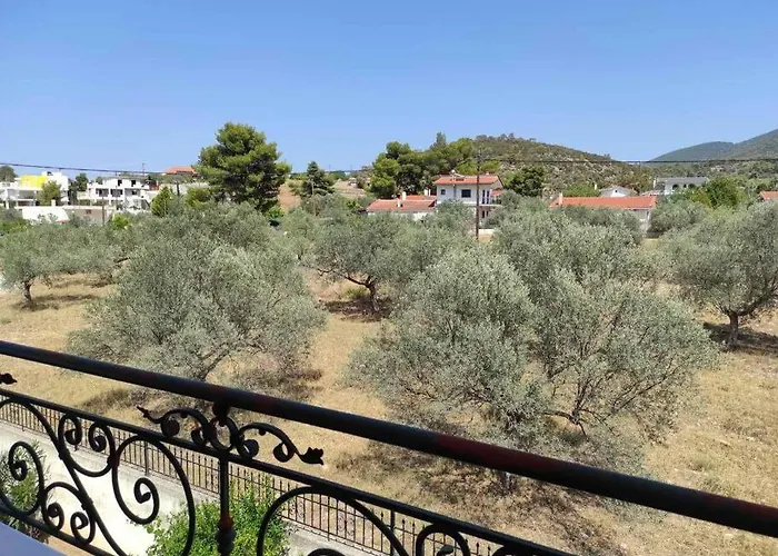Lavender Corinth فيلة *
