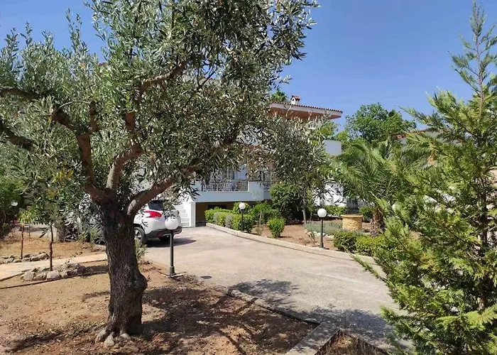 Lavender Corinth Κάτω Αλμυρή