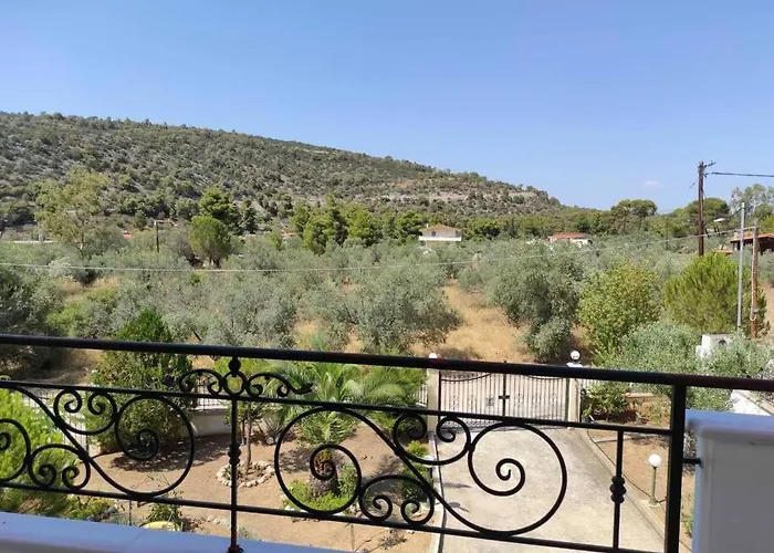 Lavender Corinth فيلة