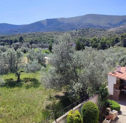 Lavender Corinth *